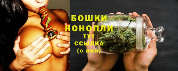 амф Бронницы