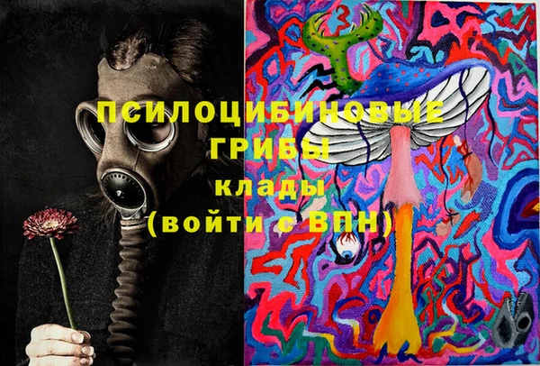 амф Бронницы
