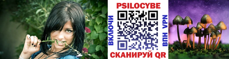 Псилоцибиновые грибы Psilocybe Королёв
